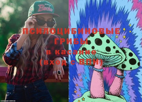 тгк Чекалин