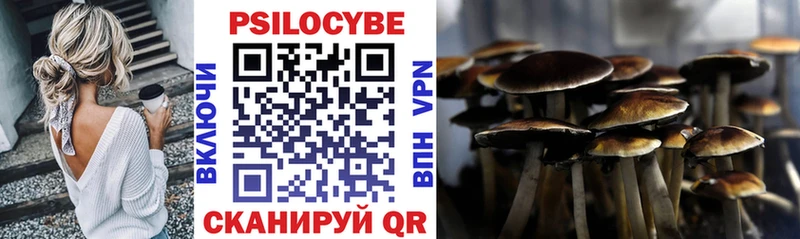 Галлюциногенные грибы прущие грибы  Купить закладки  Фатеж 